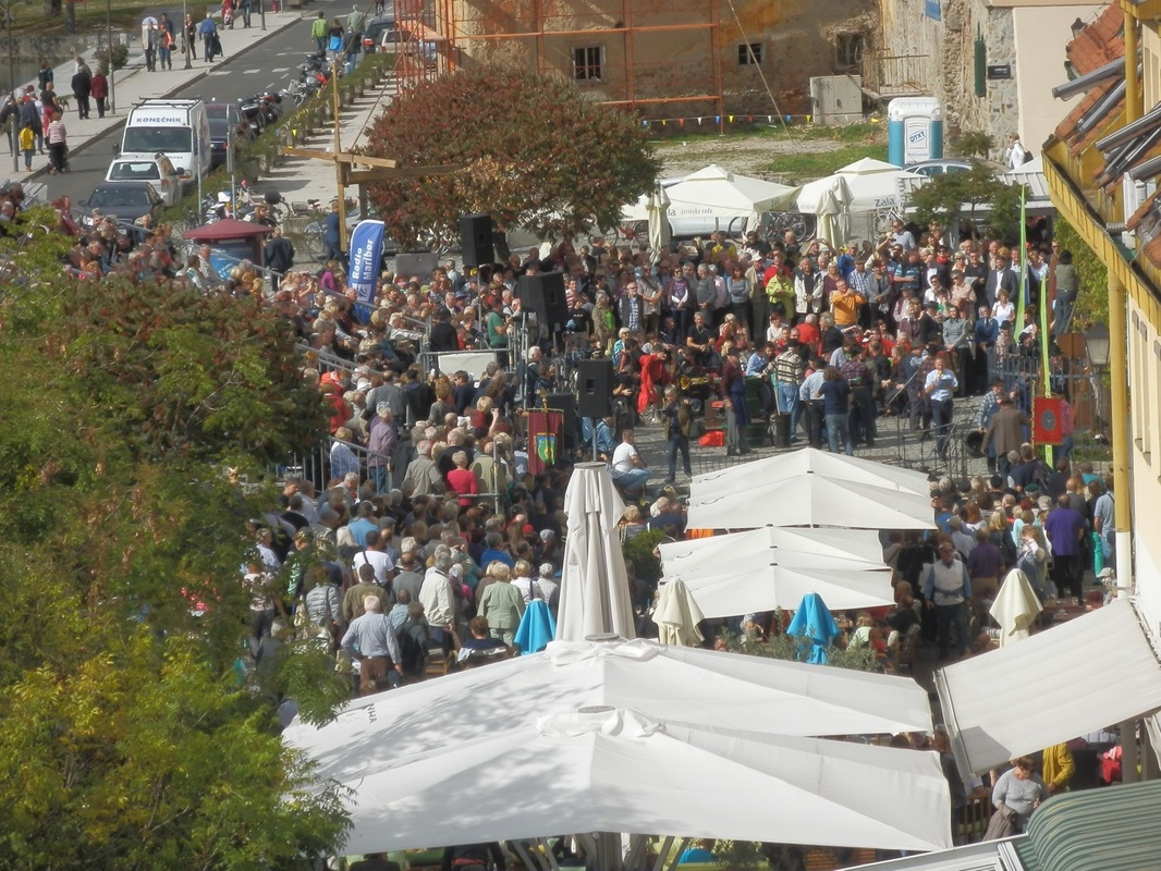 Festival Stare trte, Maribor