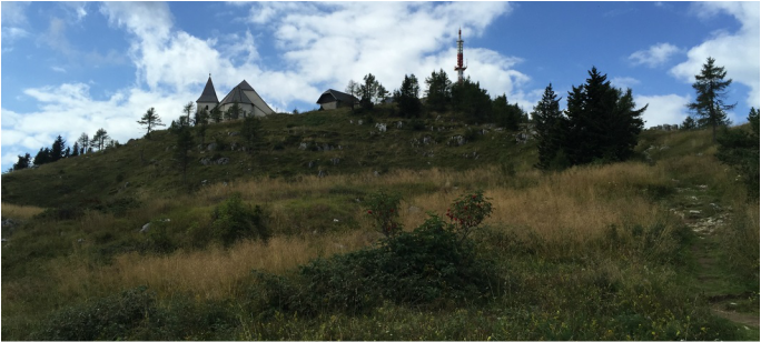 Plešivec