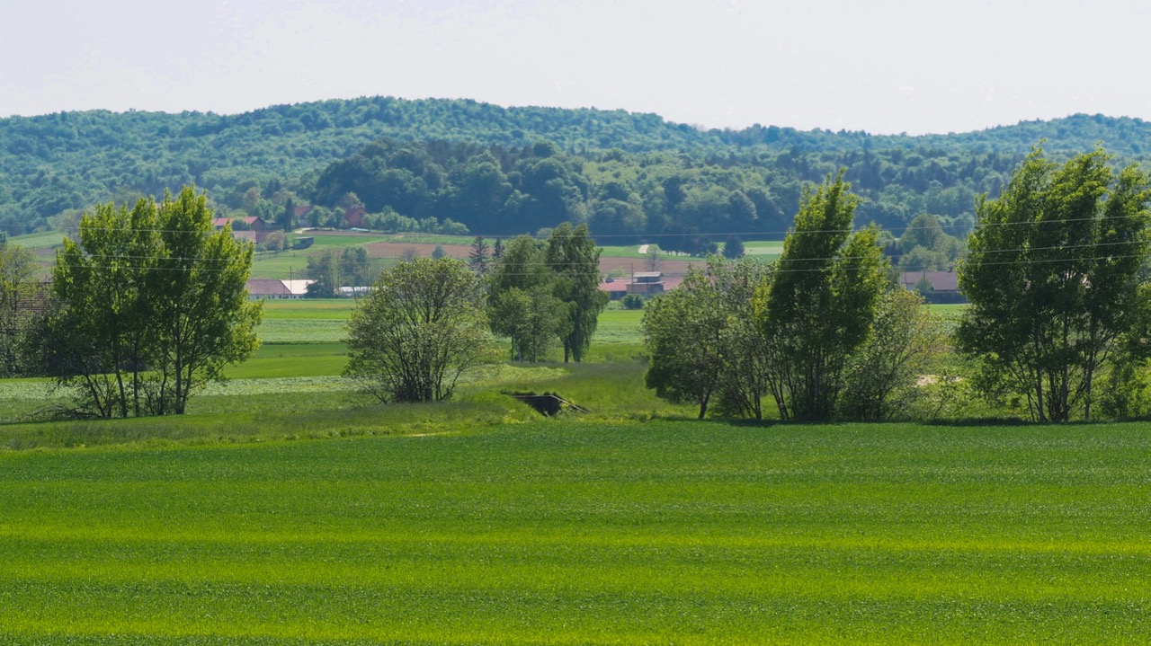 Slovenske gorice, Slovenija