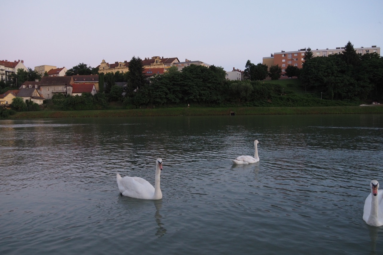 Dnevnik prenove stanovanja, Maribor 2019, nadaljevanje 3