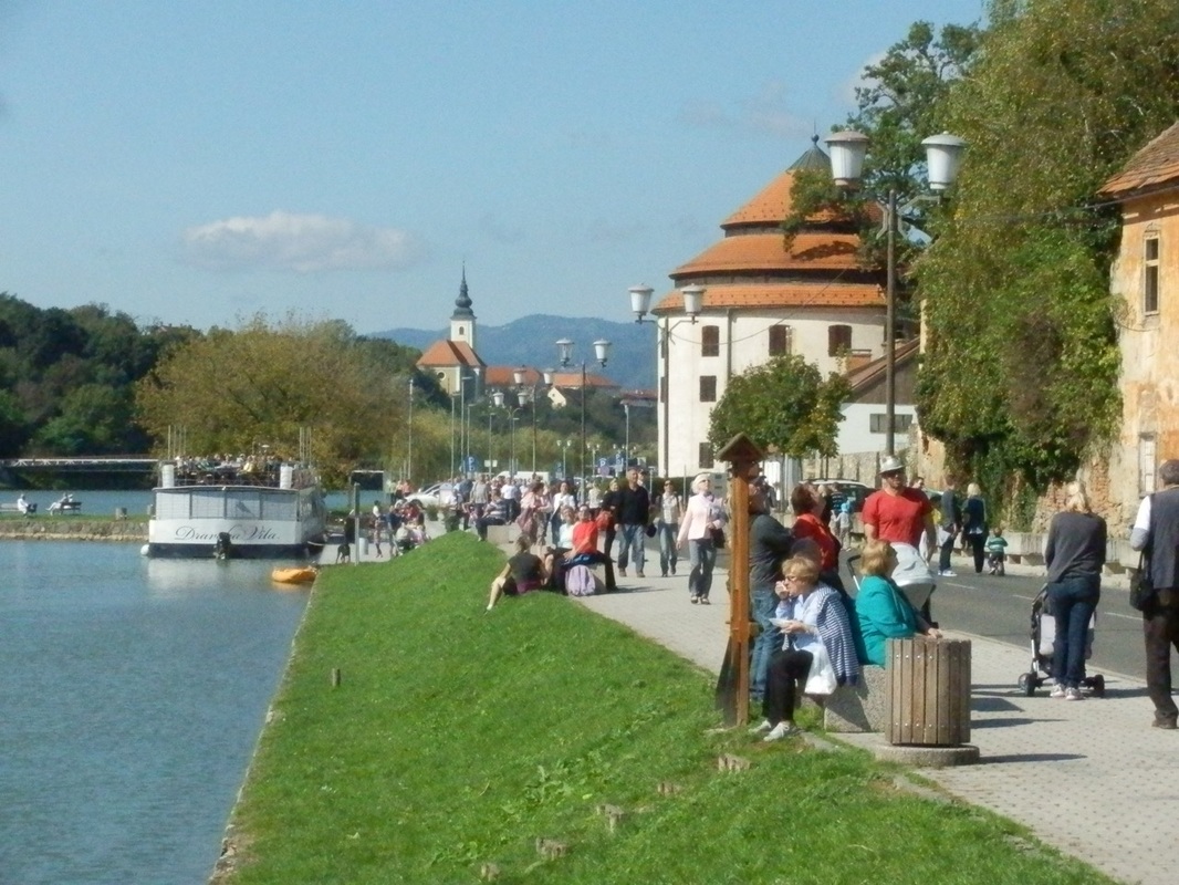 Trgatev Stare trte, Maribor